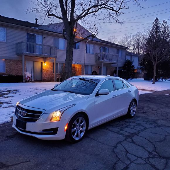 Meet your Posher, Roderick - Picture 1 of 1